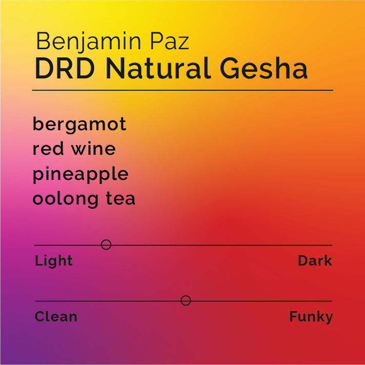 Benjamin Paz - DRD Natural Gesha coffee-tasting card displays flavor notes: bergamot, red wine, pineapple, oolong tea, with light roast and balanced processing character.