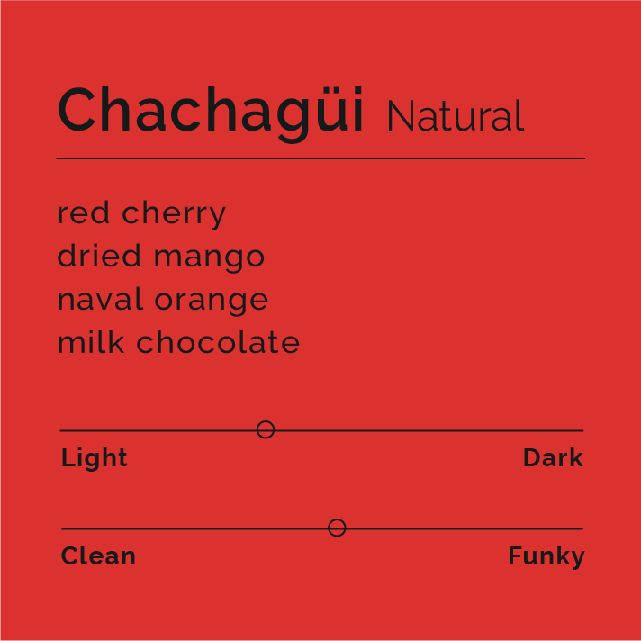 Chachagüi - Natural coffee blend featuring five producers, showcasing processed coffee cherries with fruity and sweet notes reminiscent of chocolate-covered cherries and oranges.
