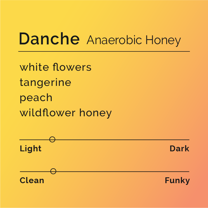 Danche - Anaerobic Honey coffee, highlighting Ethiopian origin and innovative processing, emphasizing florality, vibrant acidity, stone fruit notes, and honey-like sweetness.