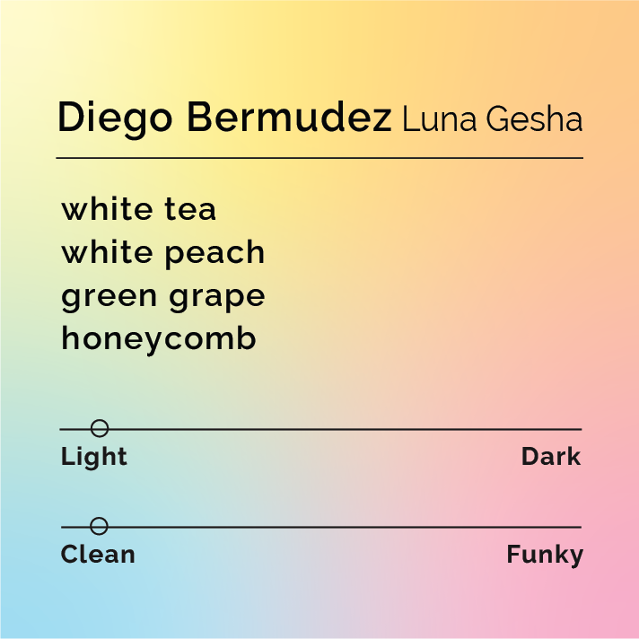 Product label for Diego Bermudez - Luna Gesha with flavor description, light funk, and lighter roast, on a color gradient background.