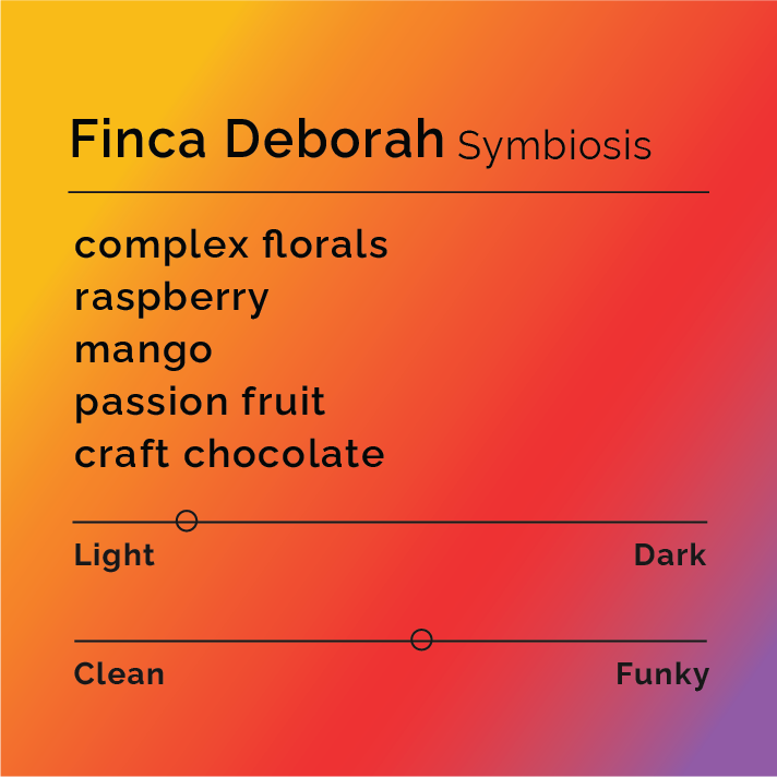 Product label for Finca Deborah - Symbiosis with flavor description, mild funk, and lighter roast, on a color gradient background.