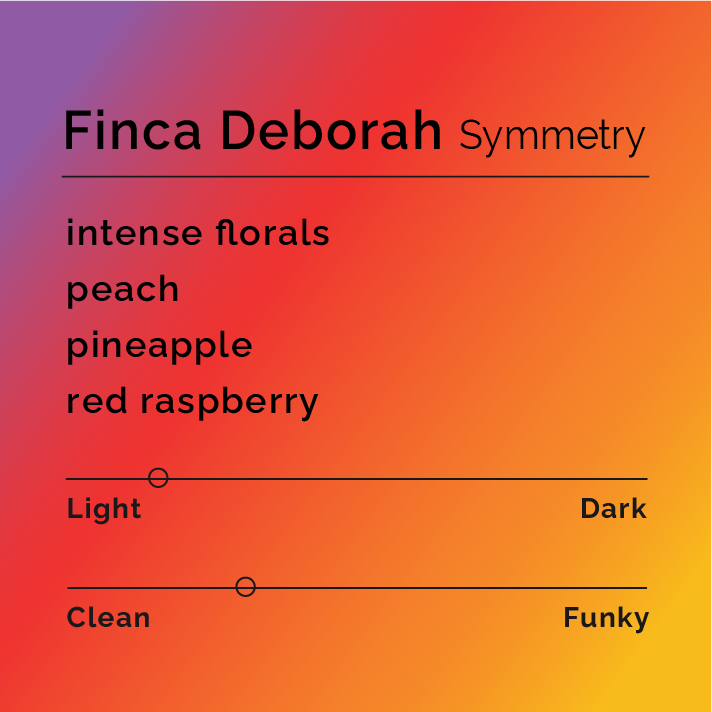 Finca Deborah Symmetry coffee card, displaying flavor notes: florals, peach, pineapple, raspberry, with light roast and clean quality sliders, and producer Jamison Savage's story.