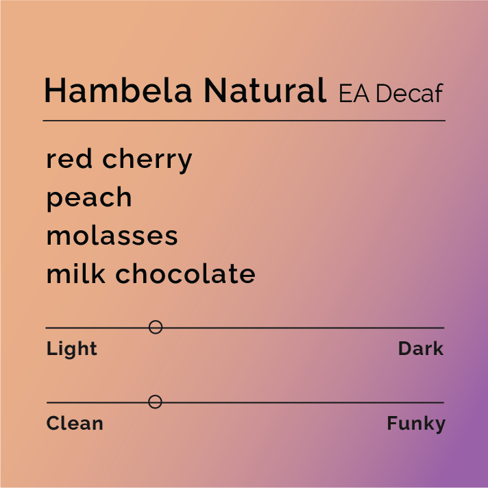 Hambela Natural - EA Decaf tasting-note card with flavor descriptors: red cherry, peach, molasses, milk chocolate, highlighting its light roast and clean profile.