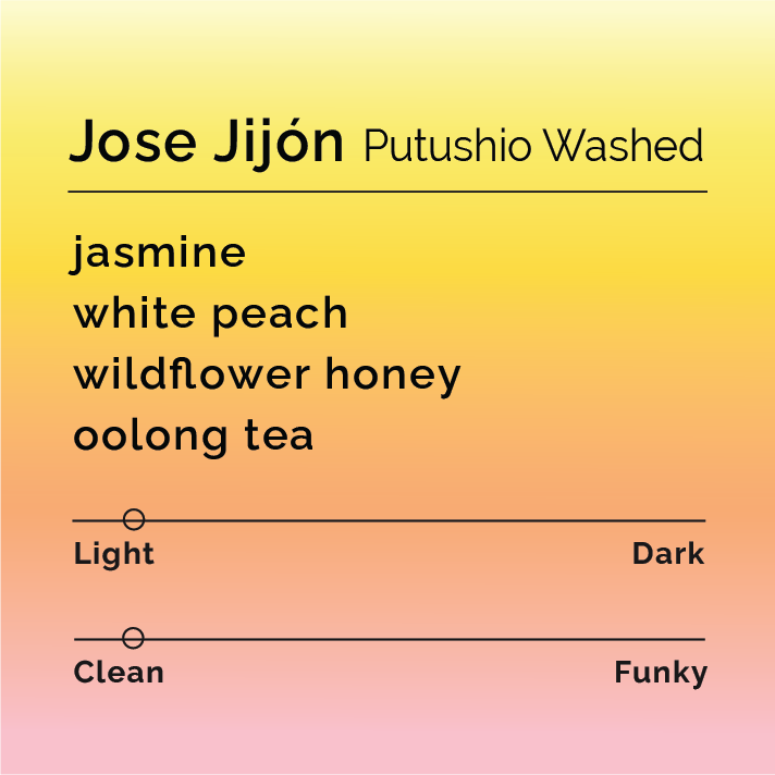 Coffee-tasting info card for Jose Jijón - Putushio Washed, highlighting jasmine, white peach, wildflower honey, oolong tea notes, and scales indicating light, clean attributes.