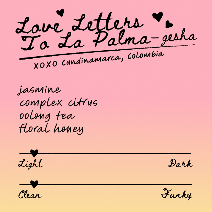 Flavor card for Love Letters to La Palma – gesha, featuring jasmine, citrus, oolong tea, honey notes; light and clean taste from Cundinamarca, Colombia.