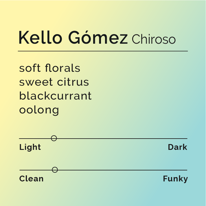 Kello Gómez - Chiroso coffee beans, displayed in a bag, showcasing their origin from La Esperanza farm, Buesaco, Colombia, known for its rich, volcanic soil.