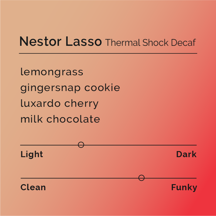 Nestor Lasso - Thermal Shock Decaf coffee beans, showcasing a reddish hue and slight oiliness, reflecting advanced processing techniques for a unique, specialty decaf experience.