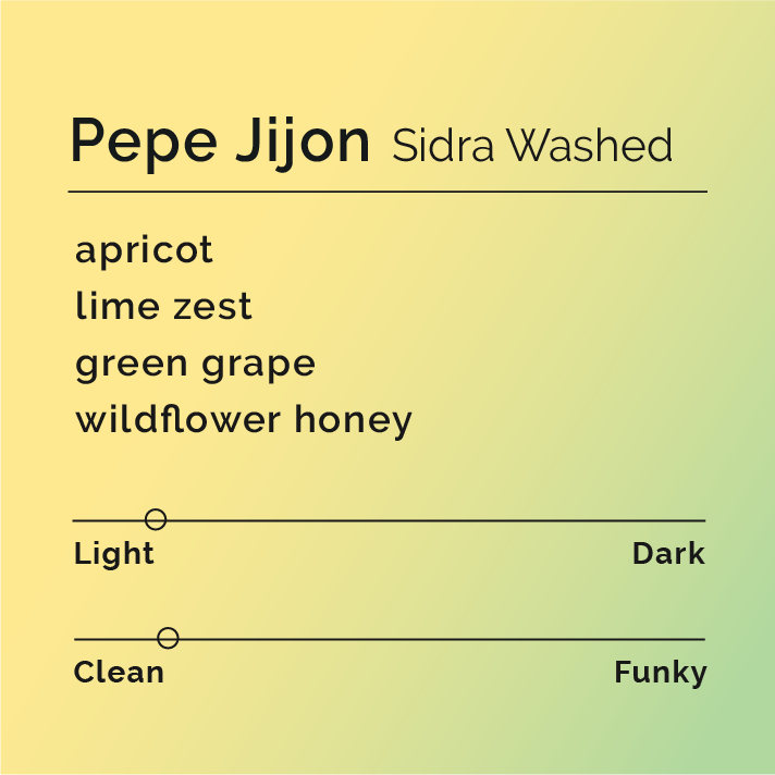 Pepe Jijon - Sidra Washed coffee, highlighting its vibrant flavors of stone fruit and citrus, cultivated at Finca Soledad in Ecuador's Imbabura region.