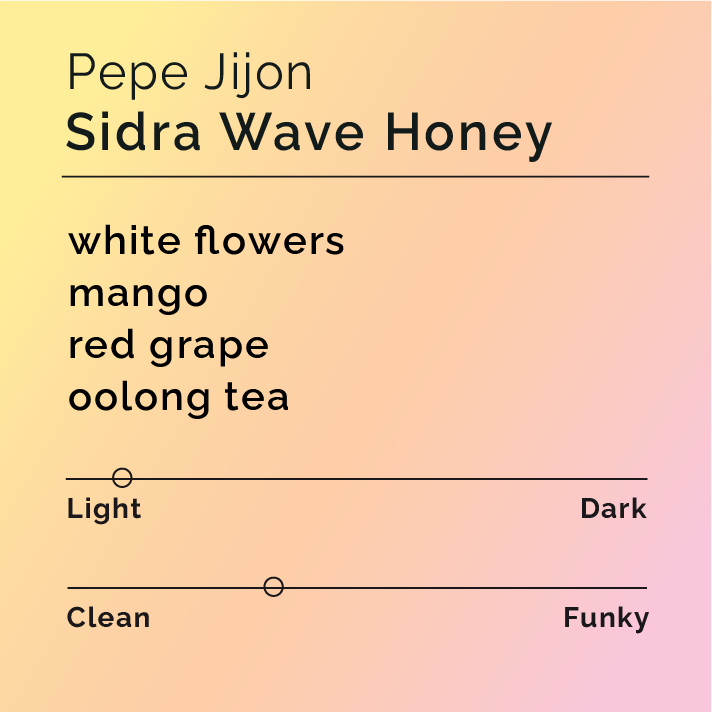 Product label for Pepe Jijon - Sidra Wave Honey with flavor description, clean funk, and lighter roast, on a color gradient background.