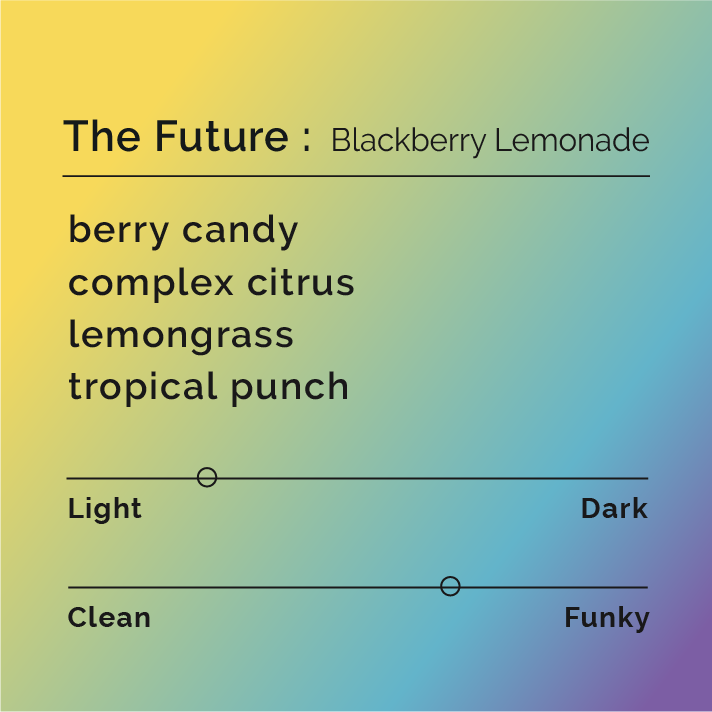 A 45 degree angle gradient of honey yellow to a blue and purple right corner label on a white background with the words The Future : Blackberry Lemonade and tasting notes of berry candy, complex citrus, lemongrass and tropical punch with roast level light medium and very funky.