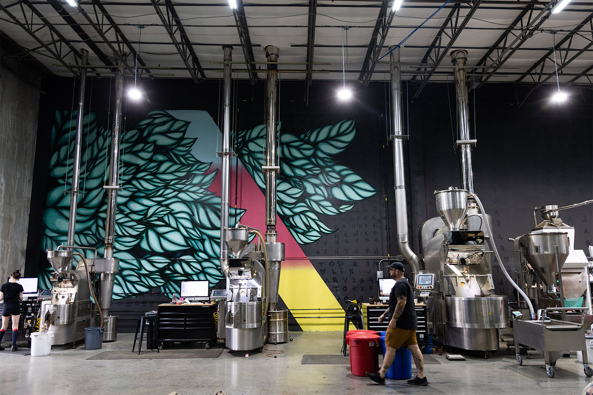 A photo of a roasting facility with brightly colored grafitti on the wall in the shape of coffee leaves. The scene has three different sized roasters and a man walking across the floor to one of them.