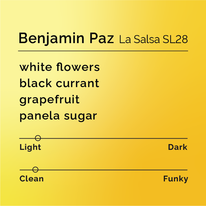 Product label for Benjamin Paz - La Salsa SL28 with flavor description, light funk, and lighter roast, on a color gradient background.