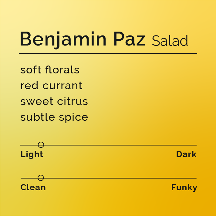 Benjamin Paz - Salad coffee package showcasing El Cedral's washed blend of Gesha and SL28 varieties, featuring soft florals, red currants, and sweet citrus notes.