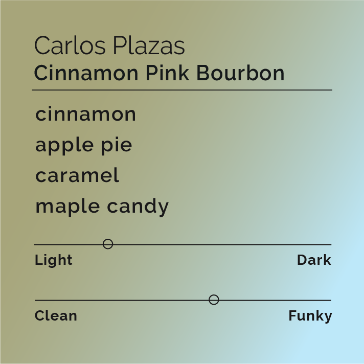 Carlos Plaza - Cinnamon Pink Bourbon coffee cherries drying on patios, showcasing the cinnamon co-fermentation process from Bellavista Estate in Suaza, Colombia.