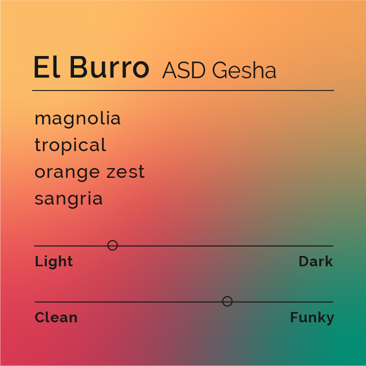 El Burro - ASD Gesha coffee, featuring beans from El Burro Estate, Panama, emphasizing anaerobic processing and unique flavors like floral, citrus, and cocoa.