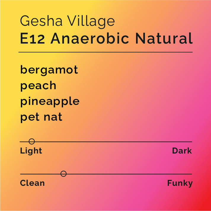 Product label for Gesha Village - E12 Anaerobic Natural with flavor description, clean funk, and lighter roast, on a color gradient background.