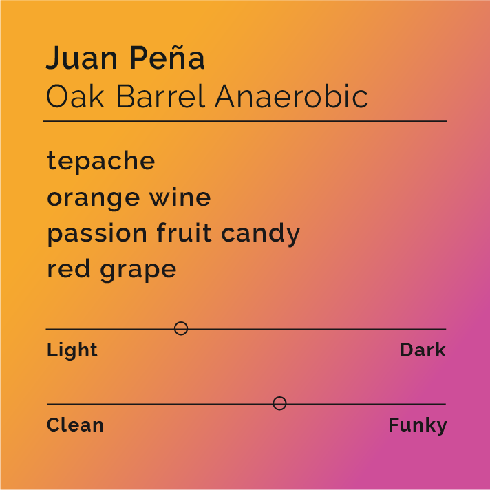 Juan Peña - Oak Barrel Anaerobic coffee, showcasing fermented cherries in rum barrels, highlighting its unique processing method and tropical, sweet flavor profile.