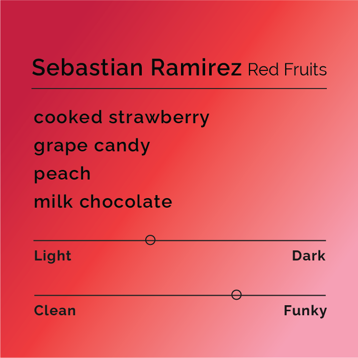 Product label for Sebastian Ramirez - Red Fruits with flavor description, high funk, and medium roast, on a color gradient background.