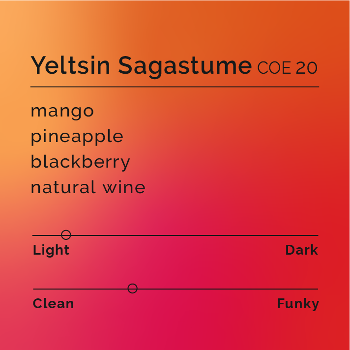 Yeltsin Sagastume - COE 20 coffee from Santa Barbara, Honduras, showcasing Maracaturra beans processed naturally, highlighting its unique, tropical flavors and rich family heritage.