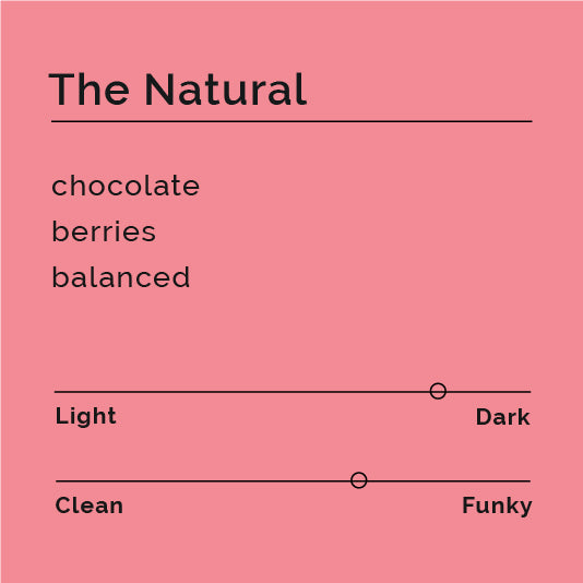 The Natural coffee, medium-dark roast, features origins from Colombia and Ethiopia, highlighting red fruits, chocolate flavors, and balanced acidity, celebrated for its natural processing.